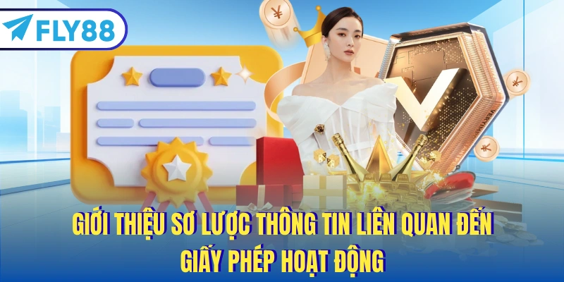Giới thiệu sơ lược thông tin liên quan đến giấy phép hoạt động